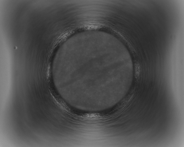 X0000103320451200810060958