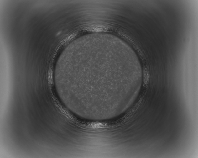 X0000103320453200810060958