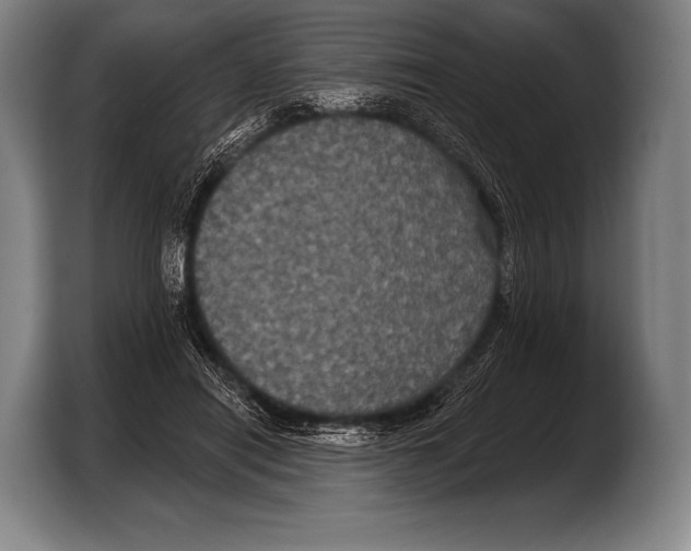 X0000103320454200810060958