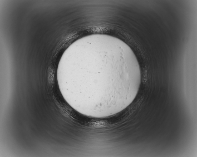 X0000103320456200810060958