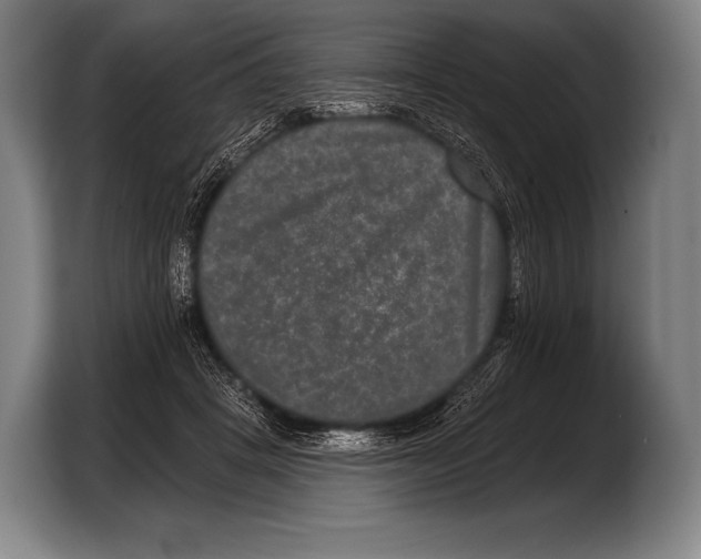 X0000103320457200810060958