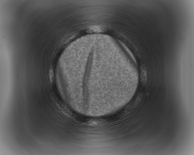 X0000103320459200810060958