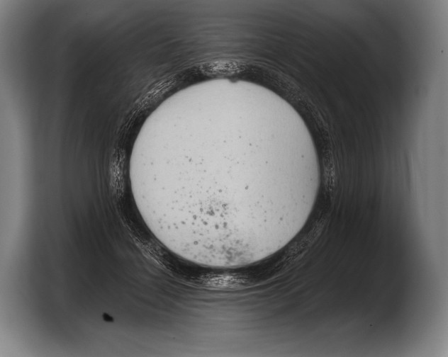X0000103320460200810060958