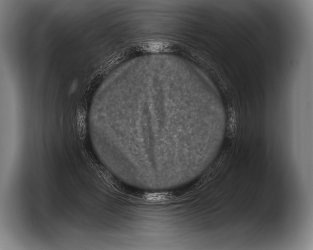 X0000103320461200810060958