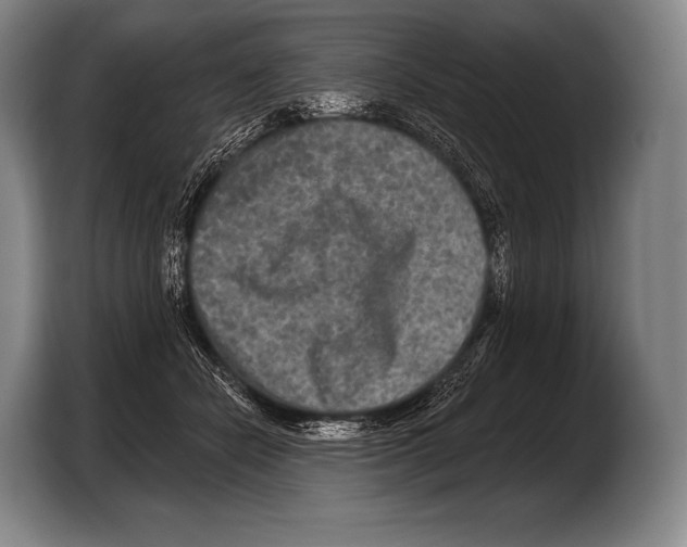 X0000103320462200810060958