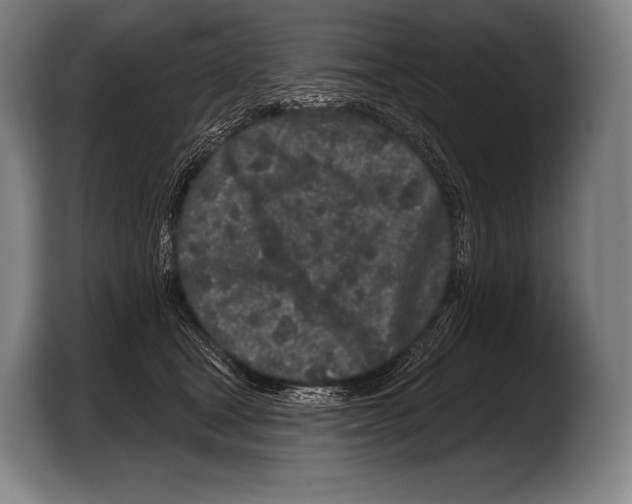 X0000103320465200810060958