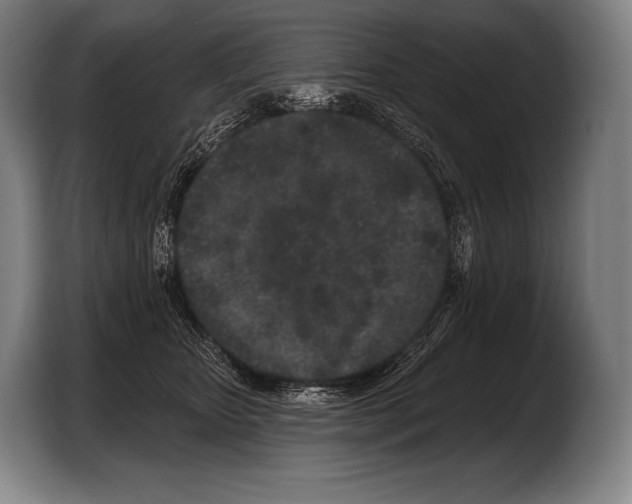 X0000103320467200810060958
