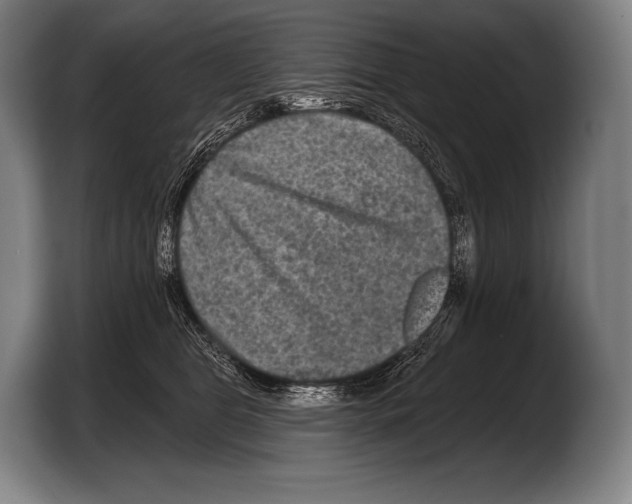 X0000103320469200810060958