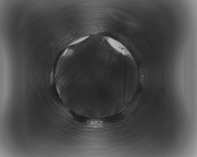 X0000103320471200810060958
