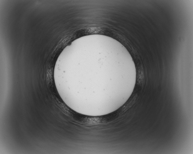X0000103320473200810060958