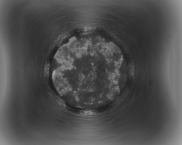 X0000103320475200810060958