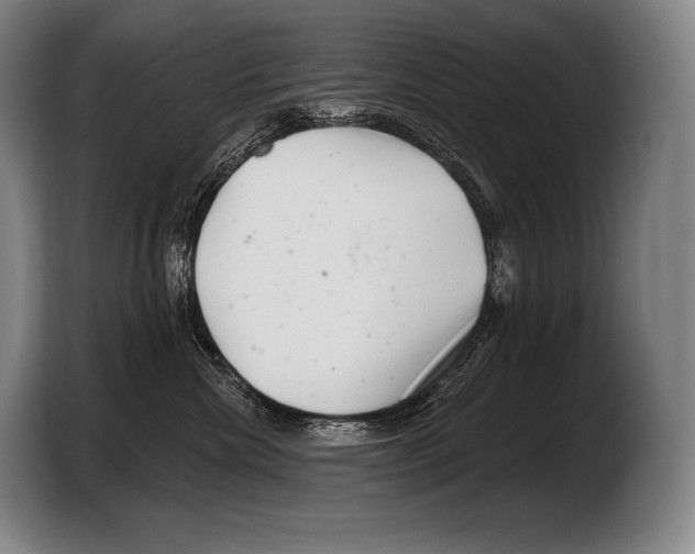 X0000103320476200810060958