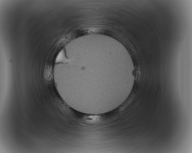 X0000103320478200810060958
