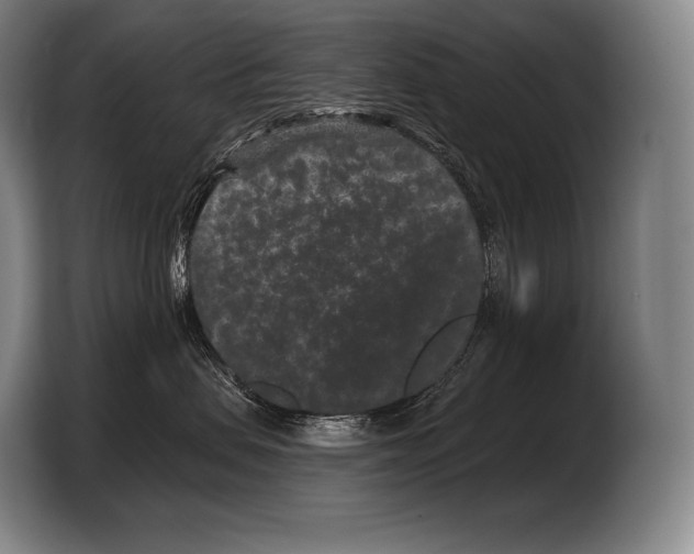 X0000103320479200810060958