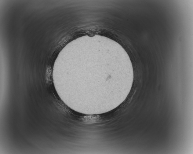 X0000103320480200810060958