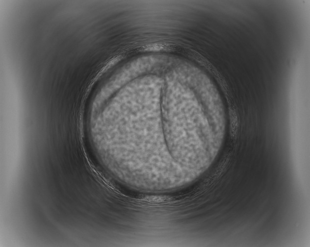 X0000103320482200810060958