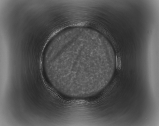 X0000103320483200810060958