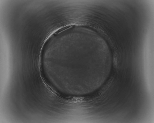 X0000103320484200810060958