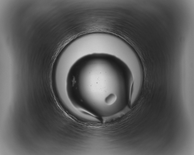 X0000103320485200810060957