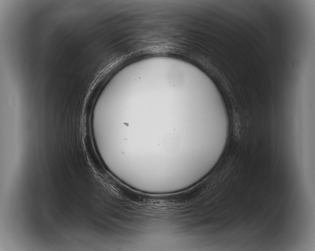 X0000103320486200810060957