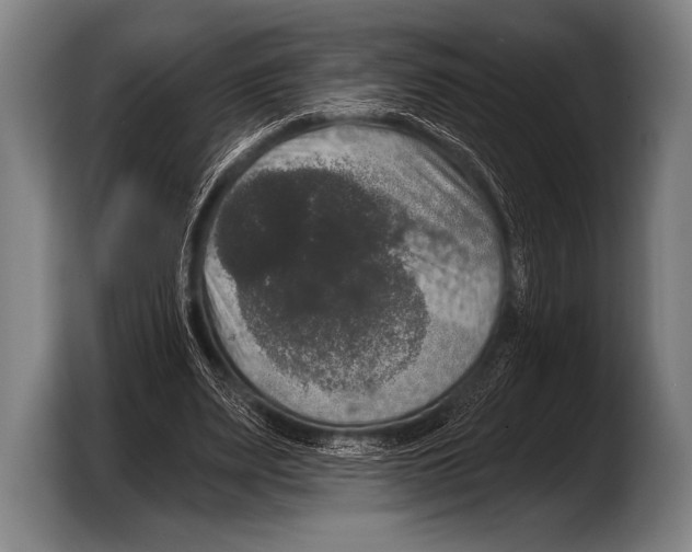 X0000103320487200810060957