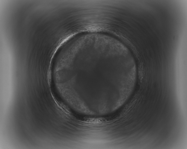 X0000103320488200810060957