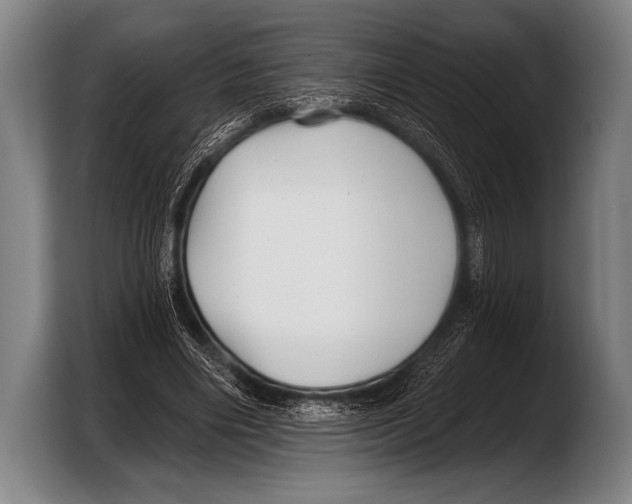 X0000103320490200810060957
