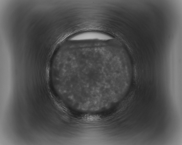 X0000103320491200810060957