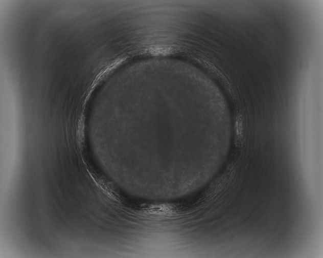 X0000103320492200810060957
