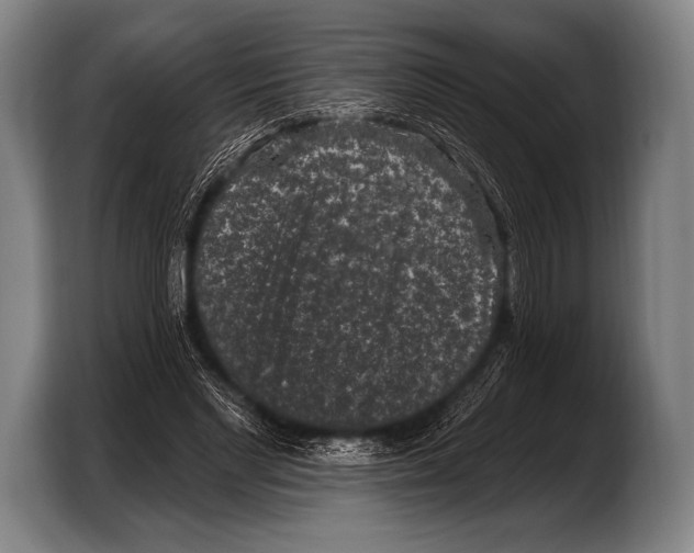 X0000103320493200810060957