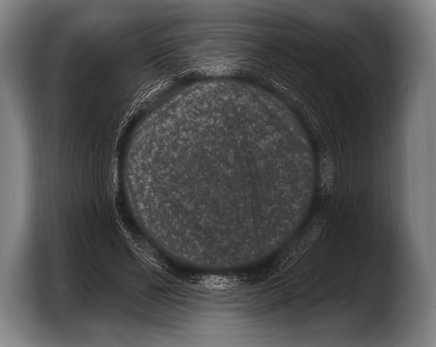 X0000103320494200810060957