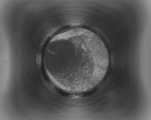 X0000103320495200810060957
