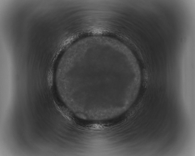 X0000103320496200810060957