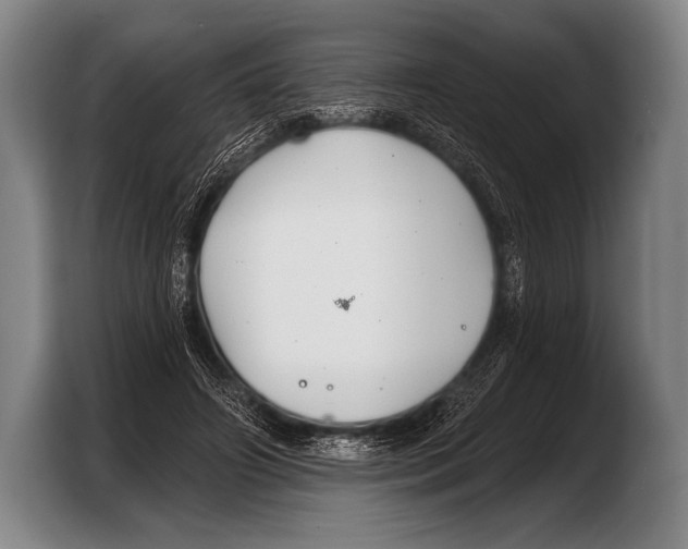 X0000103320498200810060957