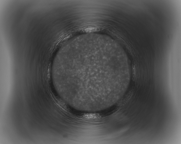 X0000103320499200810060957