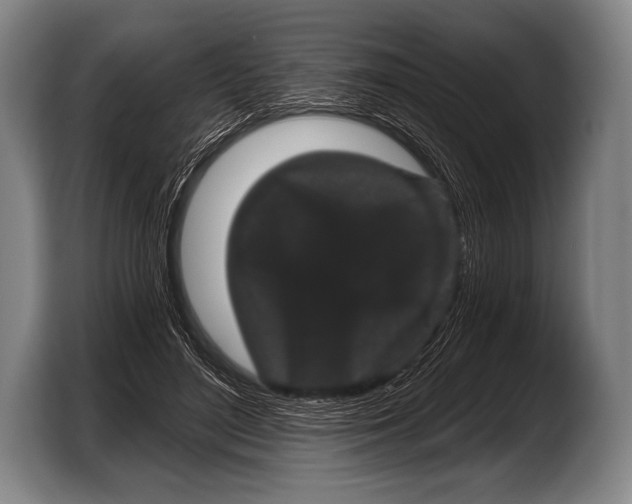 X0000103320500200810060957