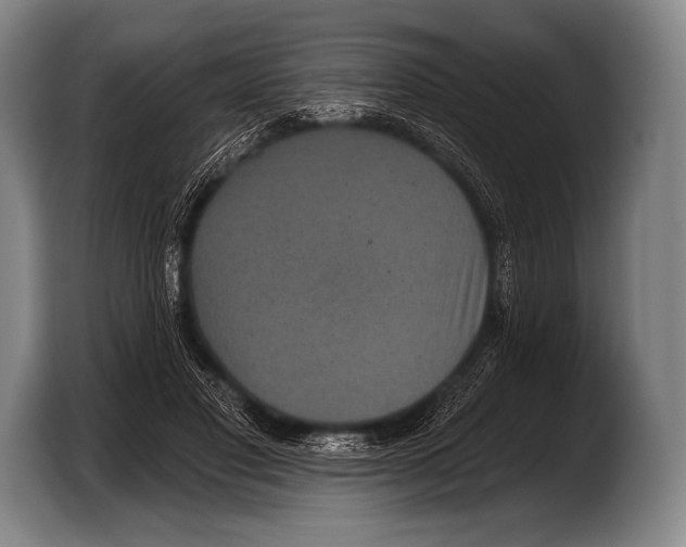 X0000103320501200810060957