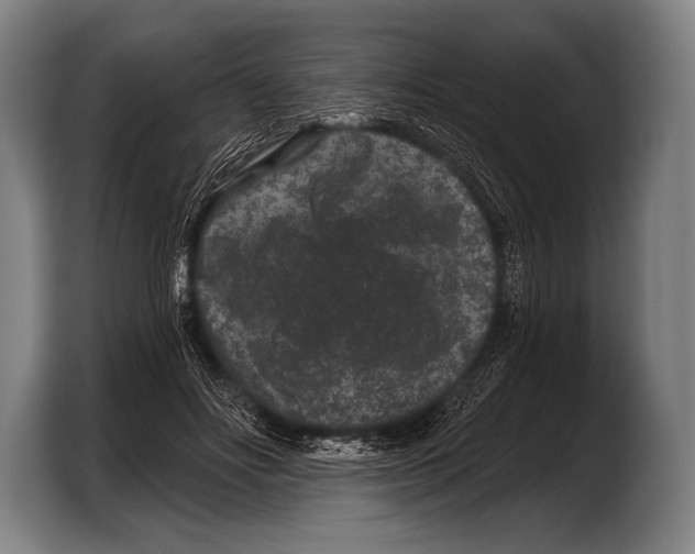 X0000103320502200810060957