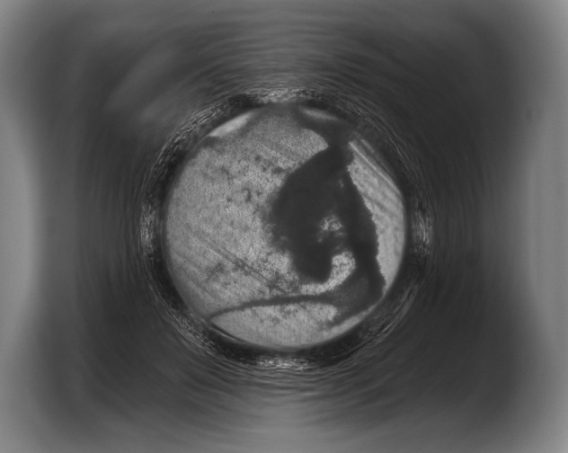 X0000103320503200810060957