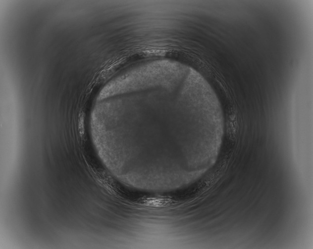 X0000103320504200810060957