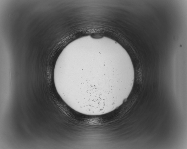 X0000103320505200810060957