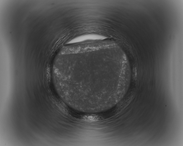 X0000103320506200810060957