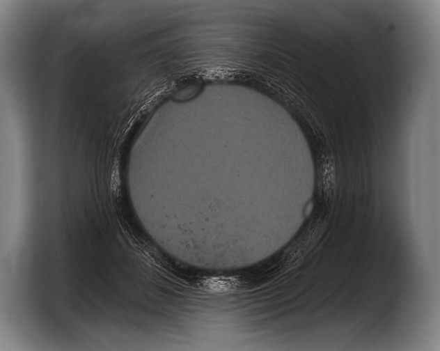 X0000103320508200810060957