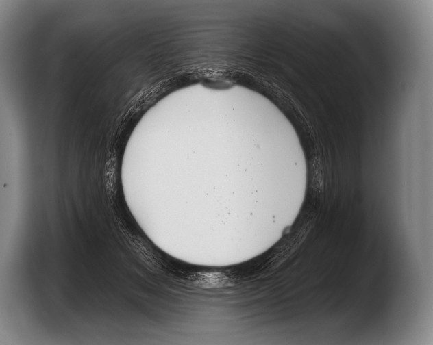 X0000103320509200810060957