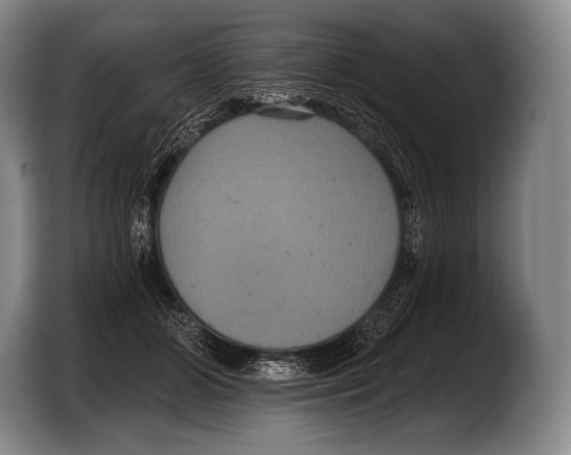 X0000103320510200810060957