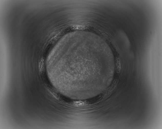 X0000103320511200810060957