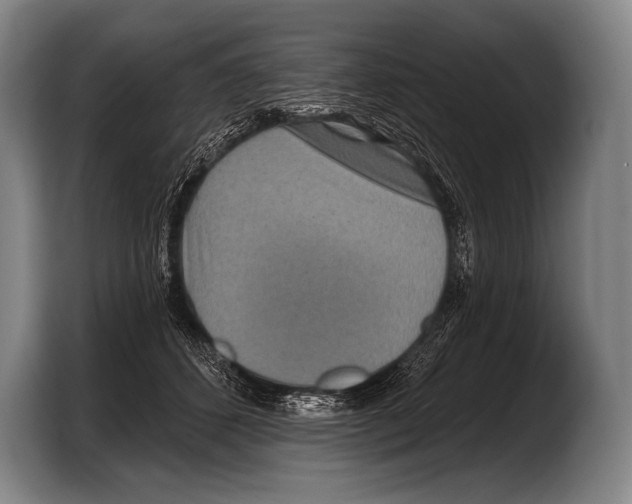 X0000103320512200810060957