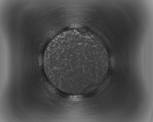 X0000103320517200810060957