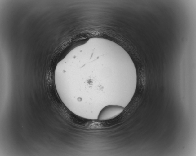 X0000103320518200810060957