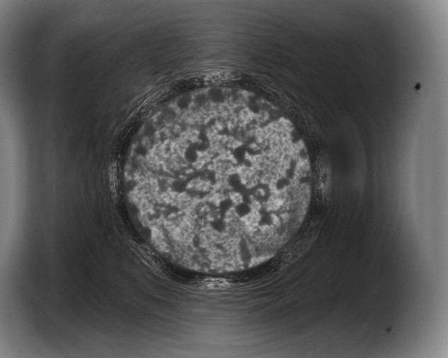 X0000103320519200810060957